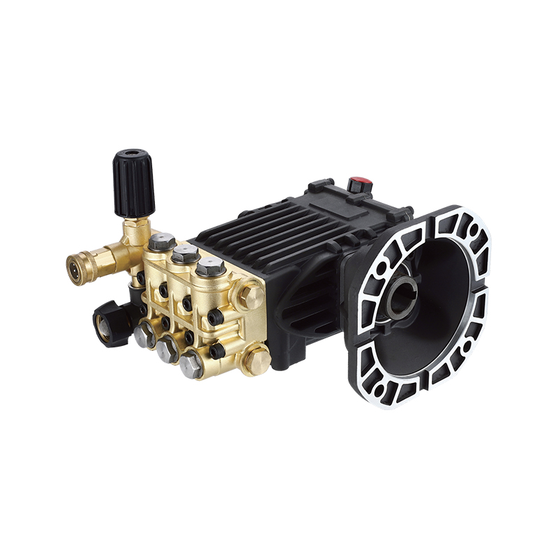 Bomba de émbolo de accionamiento directo con motor tipo DBQ-C3