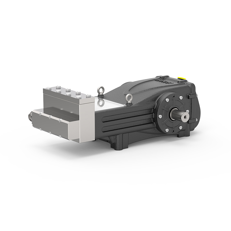 Bomba de émbolo industrial serie DBS